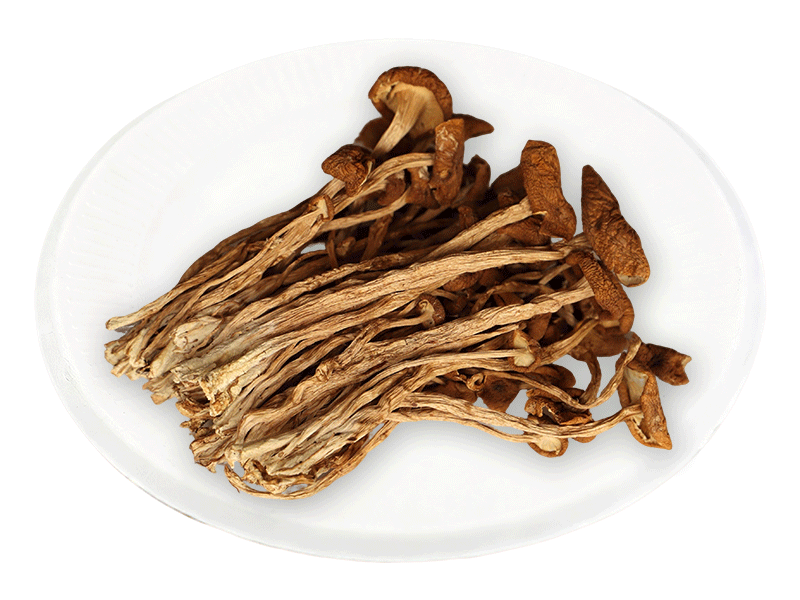 茶树菇(精品)