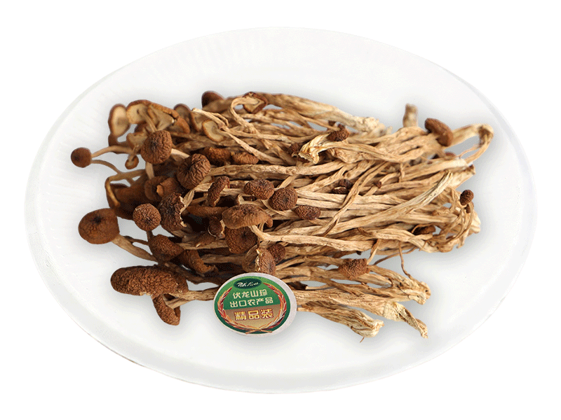 茶树菇