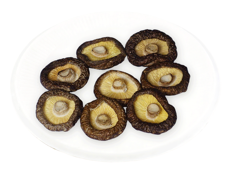 Shiitake mushrooms (4-5cm）
