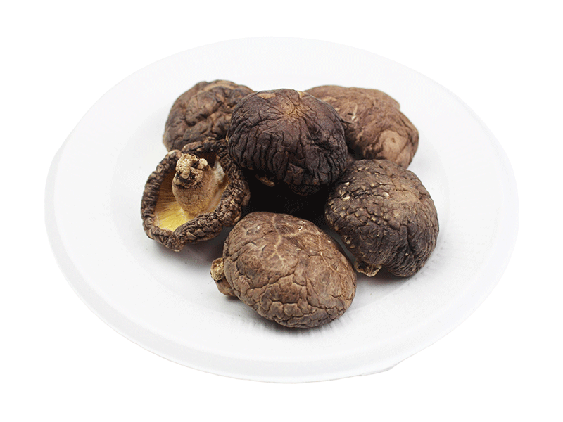 Log mushrooms (4-5cm)