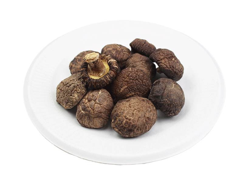 Log mushrooms (3-4cm)