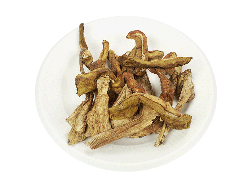 Sheet-like porcini
