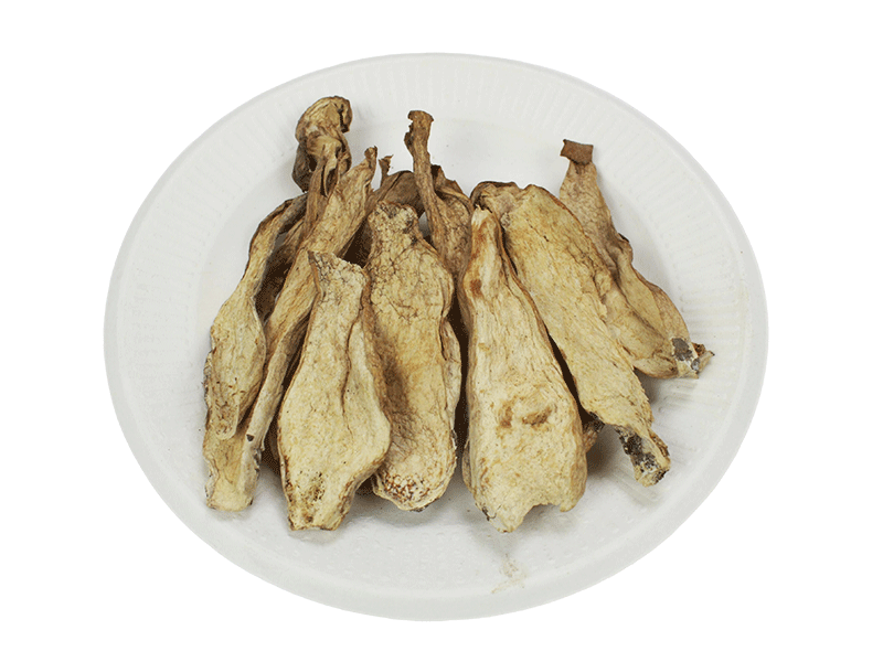 White boletus