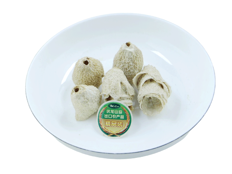 Bamboo fungus belly