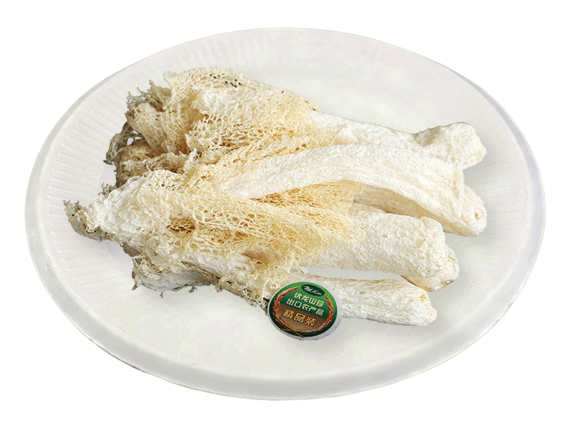 Bamboo fungus