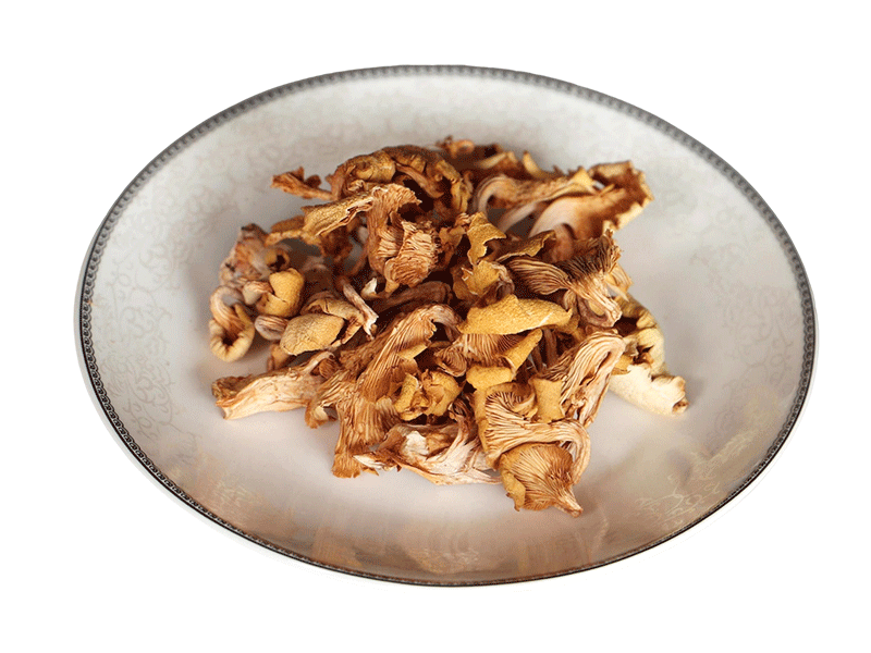 Golden Mushroom
