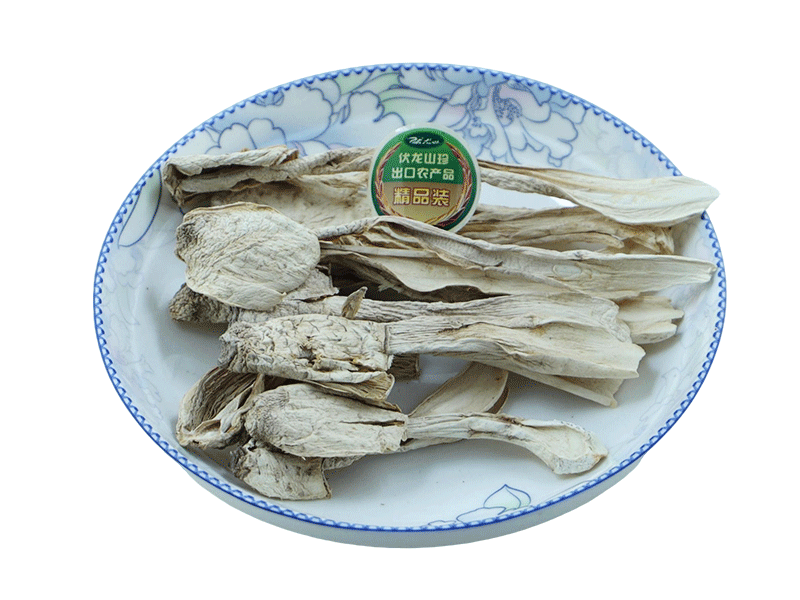 Chicken leg mushroom