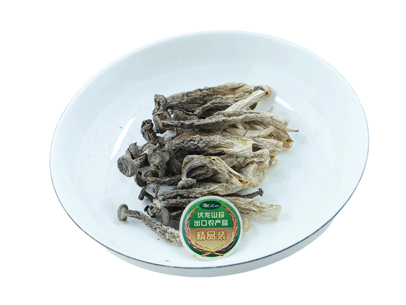 Antler mushroom