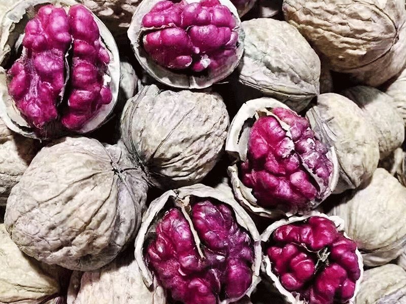 Purple kernel walnut